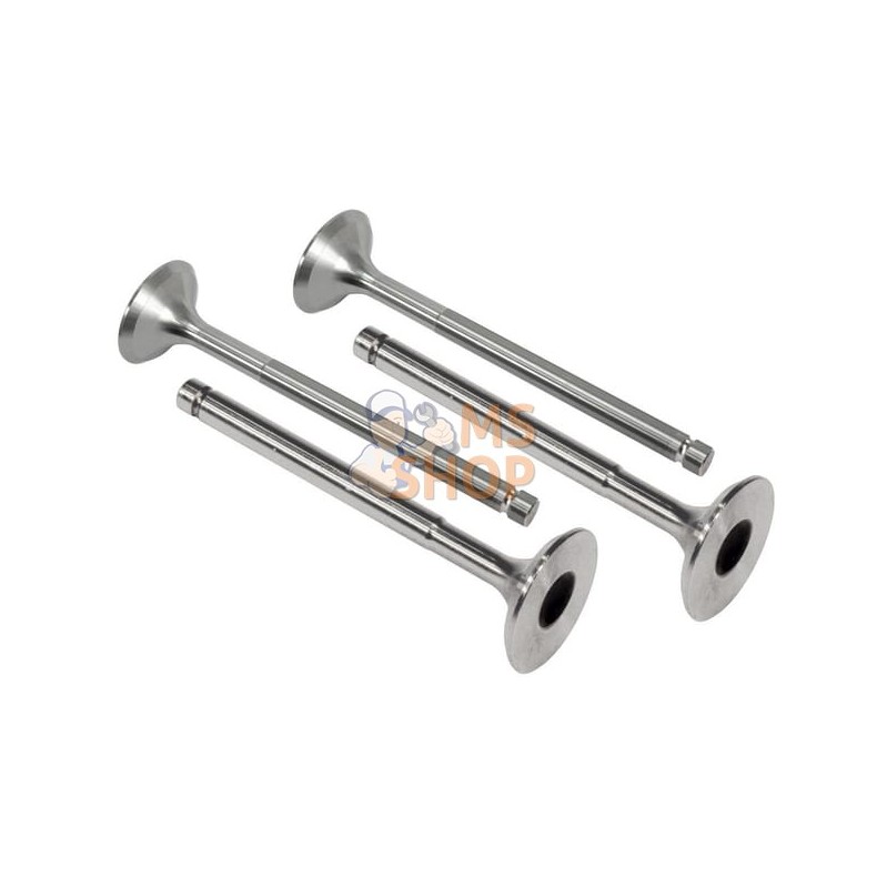 Soupape (x4) | VAPORMATIC Soupape (x4) | VAPORMATICPR#881273