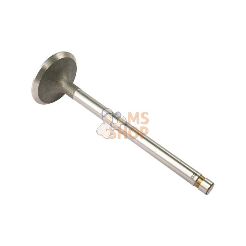 Soupape D'Admission Std. (x4) | VAPORMATIC Soupape D'Admission Std. (x4) | VAPORMATICPR#880972