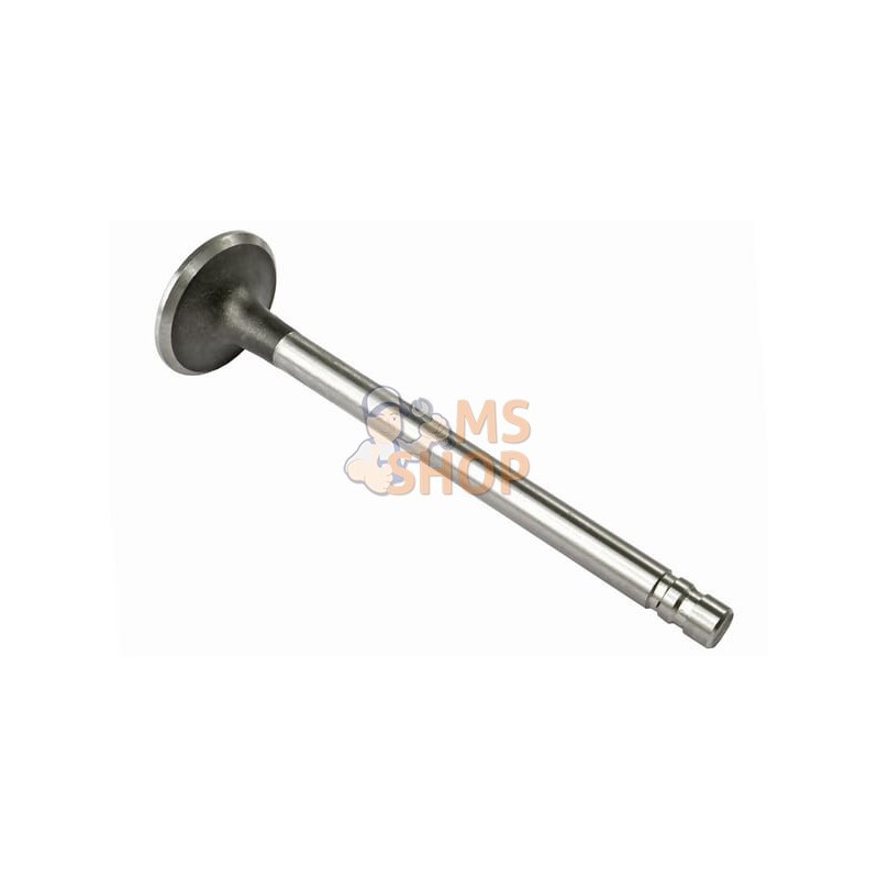Soupape D'Echappement Std. (x4) | VAPORMATIC Soupape D'Echappement Std. (x4) | VAPORMATICPR#880997