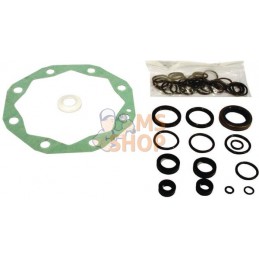 Kit Reparation Pompe Hydrauliq | VAPORMATIC Kit Reparation Pompe Hydrauliq | VAPORMATICPR#818763