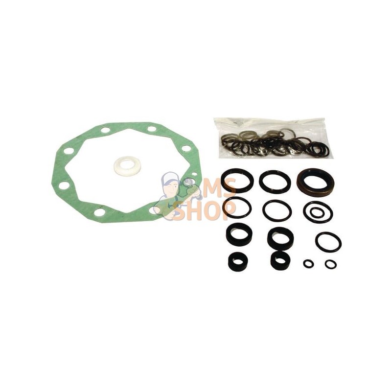 Kit Reparation Pompe Hydrauliq | VAPORMATIC Kit Reparation Pompe Hydrauliq | VAPORMATICPR#818763