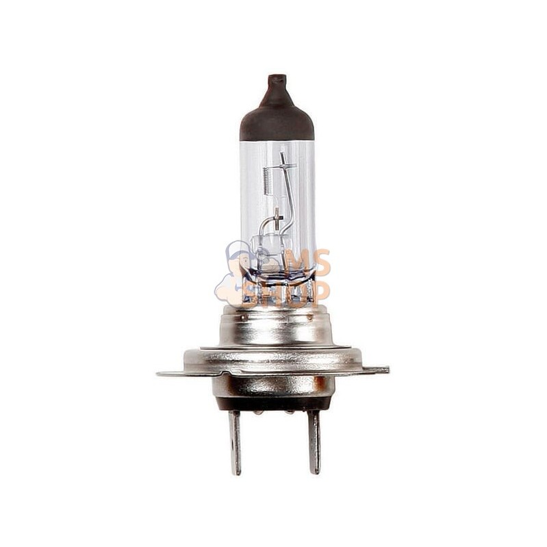 Blister Lampe H7 12V 55W 12V 55W | VAPORMATIC Blister Lampe H7 12V 55W 12V 55W | VAPORMATICPR#845278