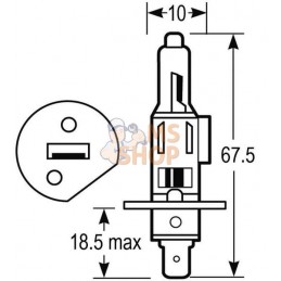 Blister Lampe H1 12V 55W 12V 55W | VAPORMATIC Blister Lampe H1 12V 55W 12V 55W | VAPORMATICPR#845459