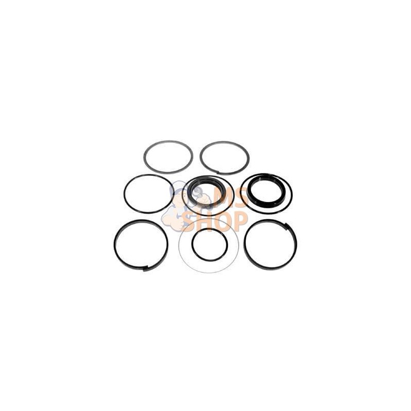 Kit de joint de vérin | VAPORMATIC Kit de joint de vérin | VAPORMATICPR#880793