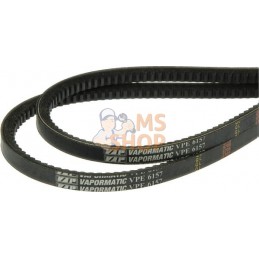 Jeu de 2 courroies | VAPORMATIC Jeu de 2 courroies | VAPORMATICPR#878980