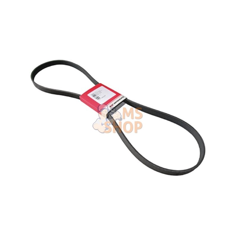 Courroie, ventilateur | VAPORMATIC Courroie, ventilateur | VAPORMATICPR#818500