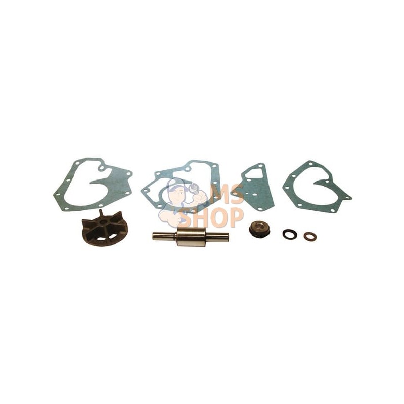 Kit de réparation pompe à eau | VAPORMATIC Kit de réparation pompe à eau | VAPORMATICPR#818404