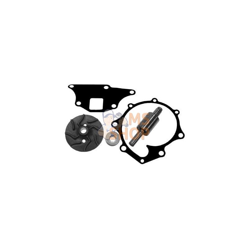 Kit de réparation pompe à eau | VAPORMATIC Kit de réparation pompe à eau | VAPORMATICPR#880426