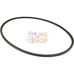 Courroie de ventilateur | VAPORMATIC Courroie de ventilateur | VAPORMATICPR#878768