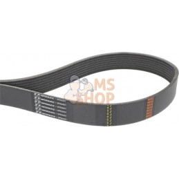 Courroie de ventilateur | VAPORMATIC Courroie de ventilateur | VAPORMATICPR#818512