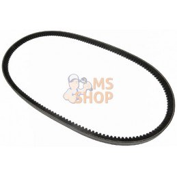 Courroie | VAPORMATIC Courroie | VAPORMATICPR#878945