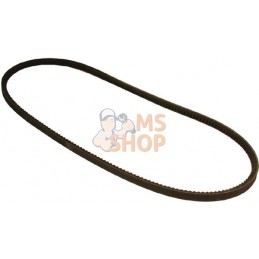 Jeu de 2 courroies | VAPORMATIC Jeu de 2 courroies | VAPORMATICPR#879137