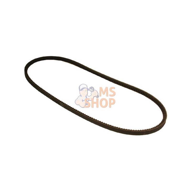 Jeu de 2 courroies | VAPORMATIC Jeu de 2 courroies | VAPORMATICPR#879137