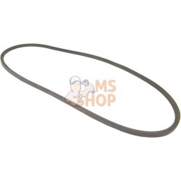 Courroie de ventilateur | VAPORMATIC Courroie de ventilateur | VAPORMATICPR#879163