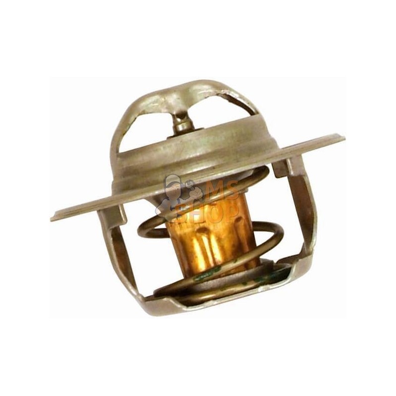 Thermostat | VAPORMATIC Thermostat | VAPORMATICPR#818435