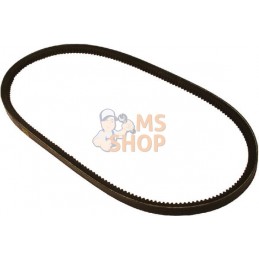 Jeu de 2 courroies de ventilateur | VAPORMATIC Jeu de 2 courroies de ventilateur | VAPORMATICPR#878797