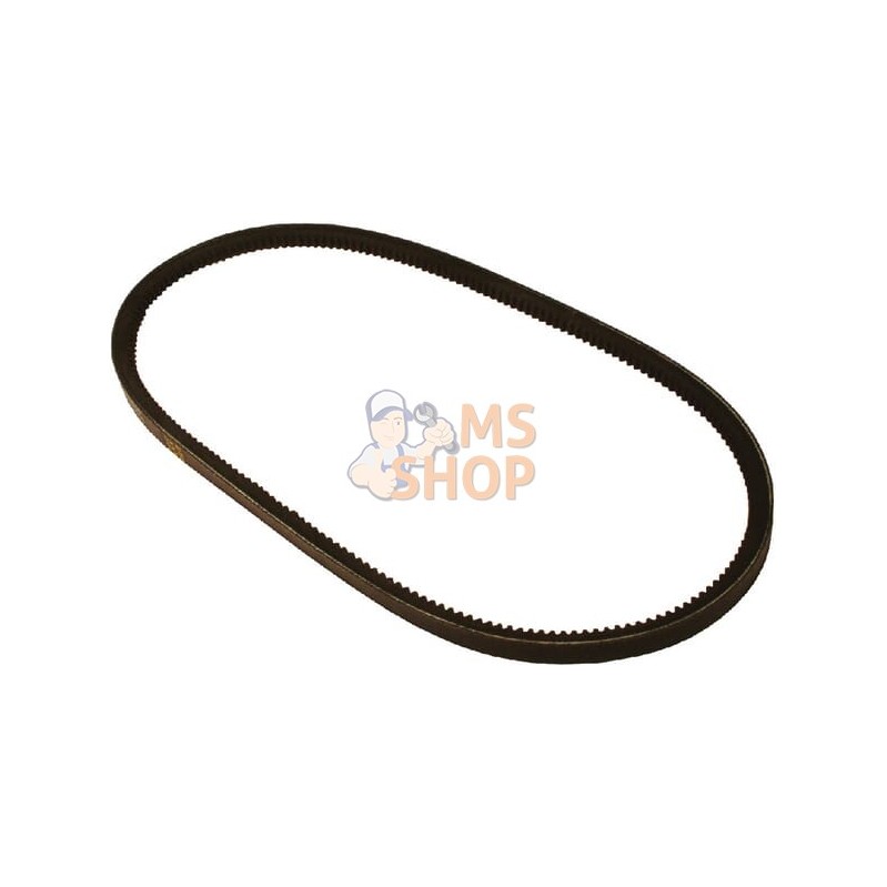 Jeu de 2 courroies de ventilateur | VAPORMATIC Jeu de 2 courroies de ventilateur | VAPORMATICPR#878797