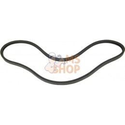 Courroie de ventilateur | VAPORMATIC Courroie de ventilateur | VAPORMATICPR#878765