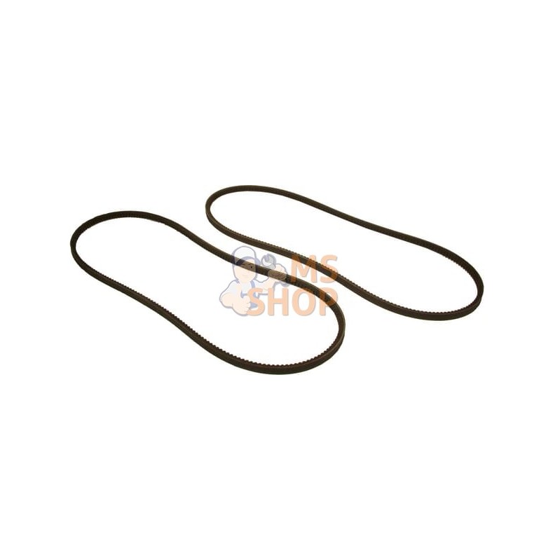 Courroie de ventilateur | VAPORMATIC Courroie de ventilateur | VAPORMATICPR#878815