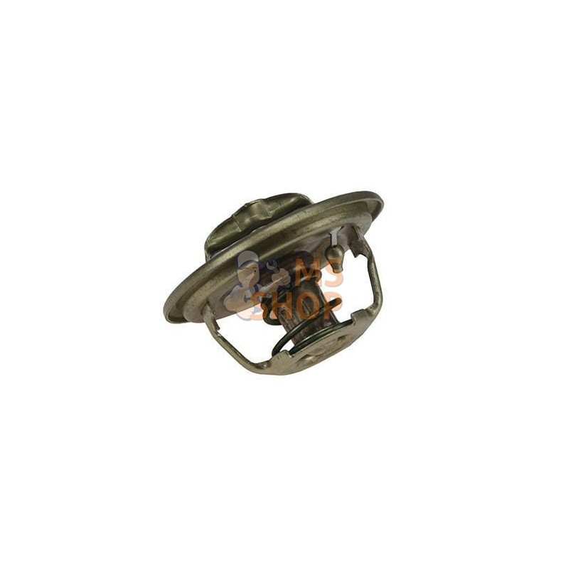 Thermostat | VAPORMATIC Thermostat | VAPORMATICPR#880628