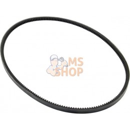 Courroie de ventilateur | VAPORMATIC Courroie de ventilateur | VAPORMATICPR#878922