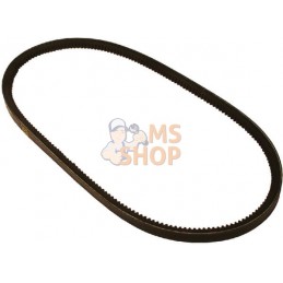 Courroie De Ventilateur | VAPORMATIC Courroie De Ventilateur | VAPORMATICPR#878796