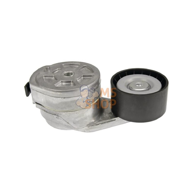 Tendeur, courroie | VAPORMATIC Tendeur, courroie | VAPORMATICPR#878778