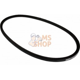 Courroie de climatiseur | VAPORMATIC Courroie de climatiseur | VAPORMATICPR#878942