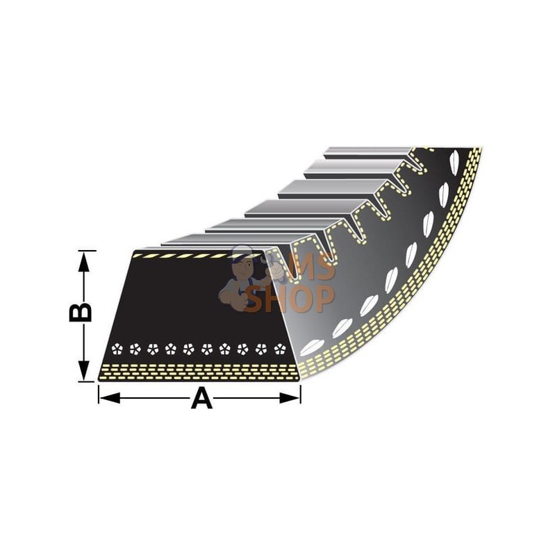 Courroie | VAPORMATIC Courroie | VAPORMATICPR#878749