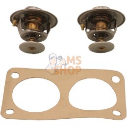 Kit Thermostat | VAPORMATIC Kit Thermostat | VAPORMATICPR#880610