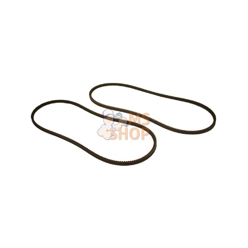 Jeu de 2 courroies de ventilateur | VAPORMATIC Jeu de 2 courroies de ventilateur | VAPORMATICPR#878812