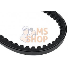 Courroie de ventilateur | VAPORMATIC Courroie de ventilateur | VAPORMATICPR#818505