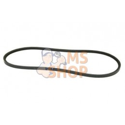 Courroie de ventilateur | VAPORMATIC Courroie de ventilateur | VAPORMATICPR#879159