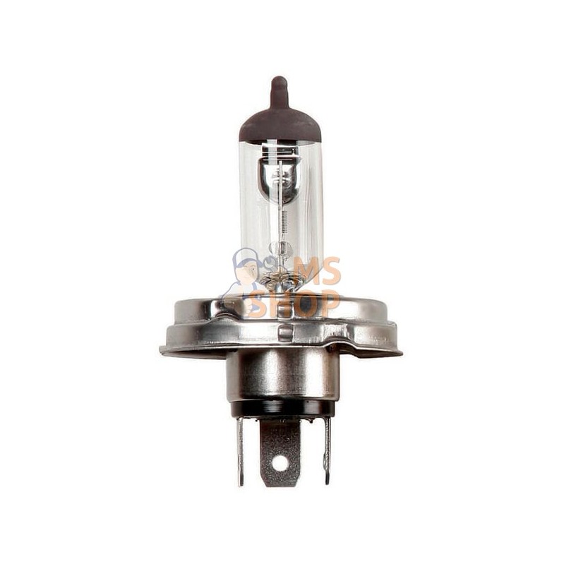 Blister Lampe H4 12V 60/55W 12V 60-55W H4 | VAPORMATIC Blister Lampe H4 12V 60/55W 12V 60-55W H4 | VAPORMATICPR#845454 Blister Lampe H4 12V 60/55W 12V 60-55W H4 | VAPORMATIC Blister Lampe H4 12V 60/55W 12V 60-55W H4 | VAPORMATICPR#845454