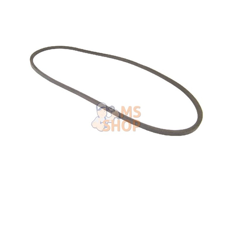 Courroie De Ventilateur | VAPORMATIC Courroie De Ventilateur | VAPORMATICPR#818465