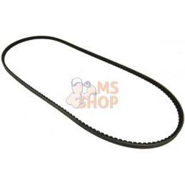 Courroie, air conditionné AVX13 x 1700 | VAPORMATIC Courroie, air conditionné AVX13 x 1700 | VAPORMATICPR#818489