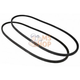Jeu de 2 courroies de ventilateur | VAPORMATIC Jeu de 2 courroies de ventilateur | VAPORMATICPR#879145