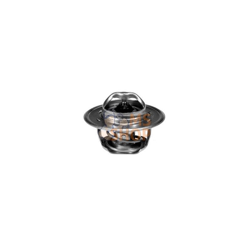 Thermostat | VAPORMATIC Thermostat | VAPORMATICPR#481030
