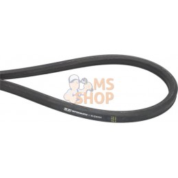 Courroie d’entraînement | VAPORMATIC Courroie d’entraînement | VAPORMATICPR#879289