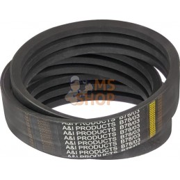 Courroie d’entraînement | VAPORMATIC Courroie d’entraînement | VAPORMATICPR#879246