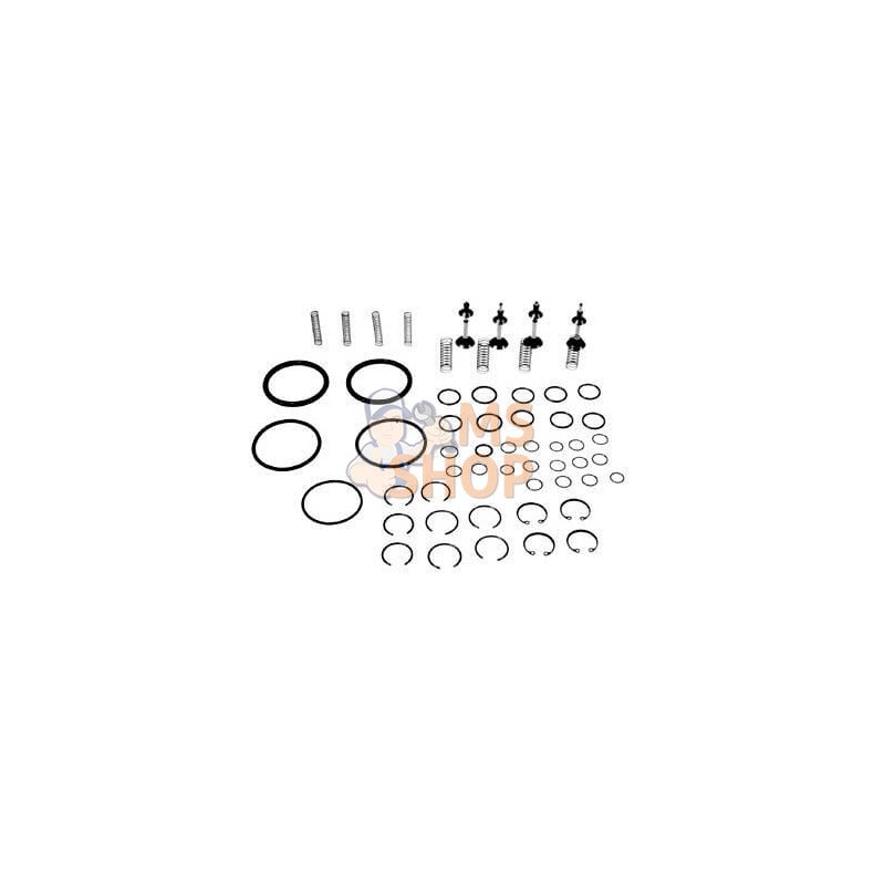 Kit De Reparation Hydraulique | VAPORMATIC Kit De Reparation Hydraulique | VAPORMATICPR#880723