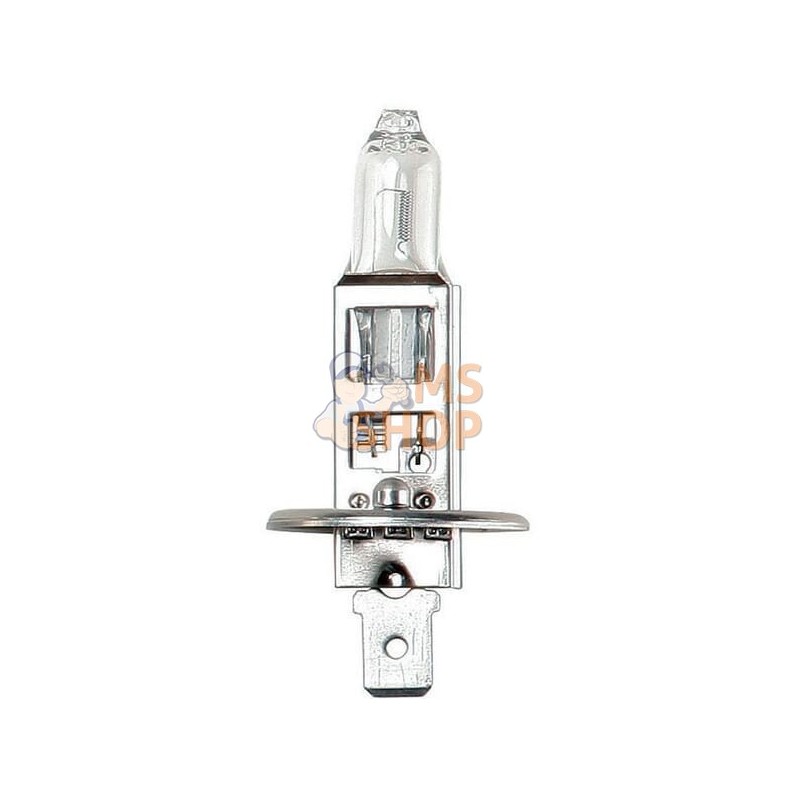Blister Lampe H1 12V 55W (10) 12V 55W H1 | VAPORMATIC Blister Lampe H1 12V 55W (10) 12V 55W H1 | VAPORMATICPR#844588