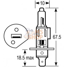 Blister Lampe H1 12V 55W (10) 12V 55W H1 | VAPORMATIC Blister Lampe H1 12V 55W (10) 12V 55W H1 | VAPORMATICPR#844588