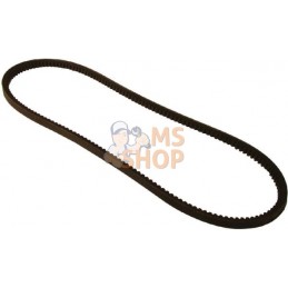 Courroie | VAPORMATIC Courroie | VAPORMATICPR#878750