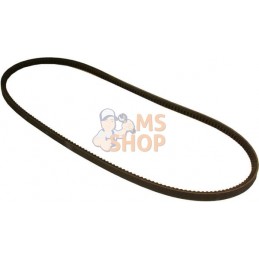 Courroie de ventilateur | VAPORMATIC Courroie de ventilateur | VAPORMATICPR#878817