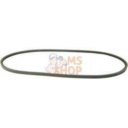 Courroie De Ventilateur | VAPORMATIC Courroie De Ventilateur | VAPORMATICPR#879158