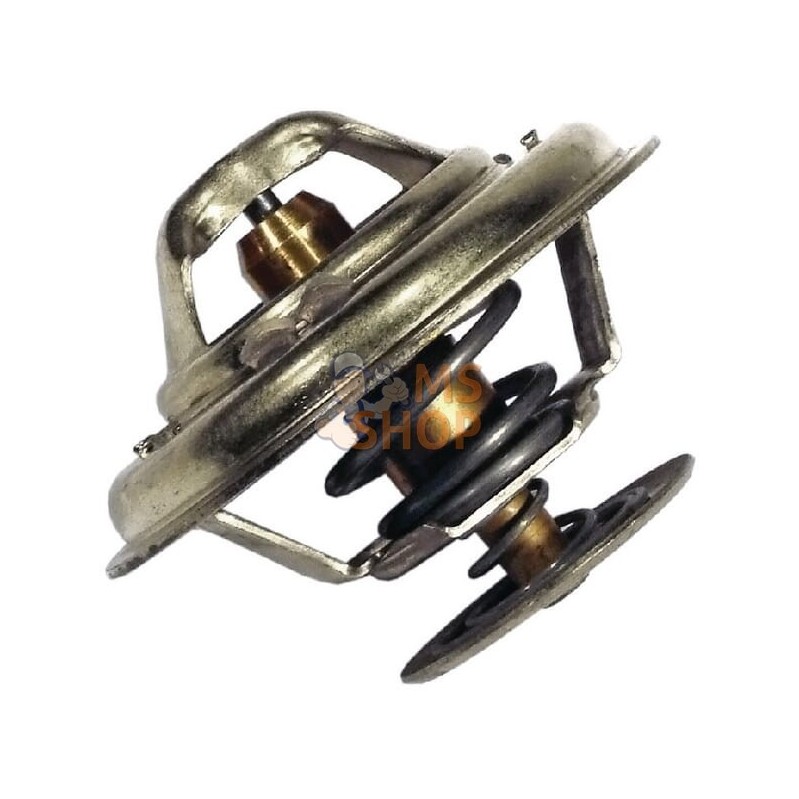 Thermostat | VAPORMATIC Thermostat | VAPORMATICPR#880605