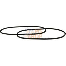 Jeu de 2 courroies | VAPORMATIC Jeu de 2 courroies | VAPORMATICPR#879162