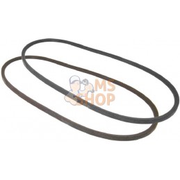 Jeu de 2 courroies de ventilateur | VAPORMATIC Jeu de 2 courroies de ventilateur | VAPORMATICPR#879142