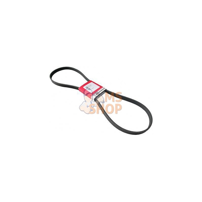 Courroie de ventilateur | VAPORMATIC Courroie de ventilateur | VAPORMATICPR#818498